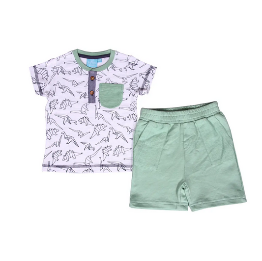 Origami Dino 2 Piece Set