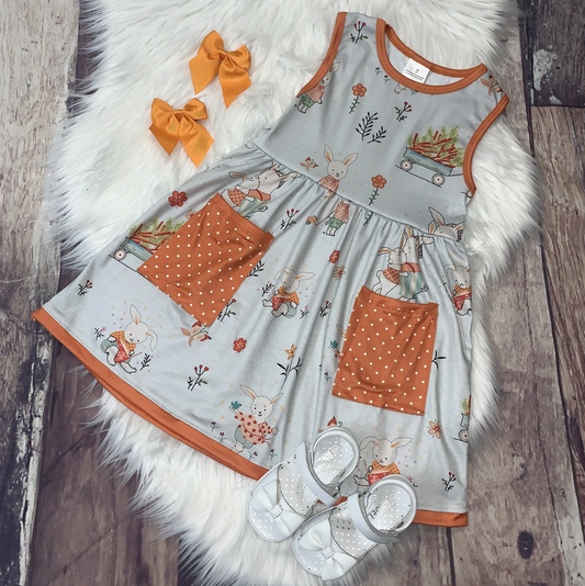 Cotton Tail & Friends Pocket Dress